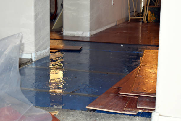 Professional Sewage Cleanup technician working in Conklin, MI